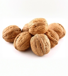 وقية جوز مش مطقش